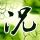 online jassen coiffeur eine strenge Reaktionspolitik mitgeteilt … Kyodo News berichtete am 28